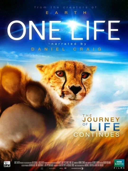 Jaquette de One Life