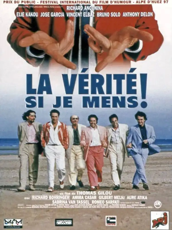 Jaquette de La vérité si je mens