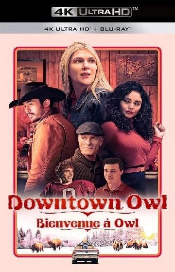 Jaquette de Downtown Owl