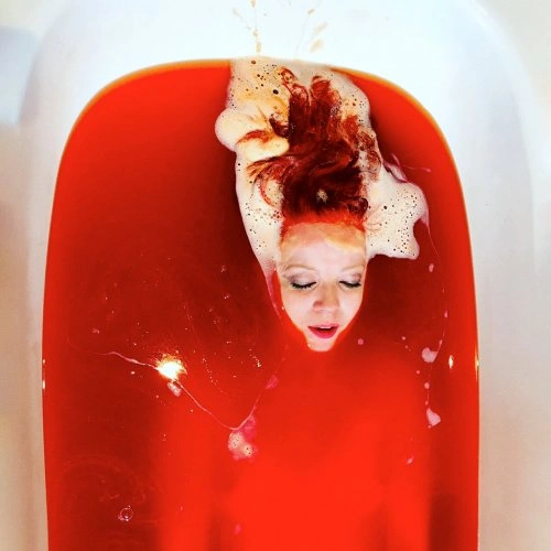 Jaquette de Garbage - Lie To Me MP3 2024