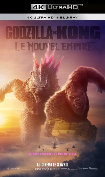 Jaquette de Godzilla x Kong : Le Nouvel Empire