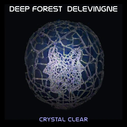 Jaquette de Deep Forest - Crystal Clear FLAC 2024