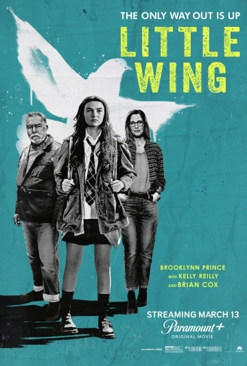 Jaquette de Little Wing