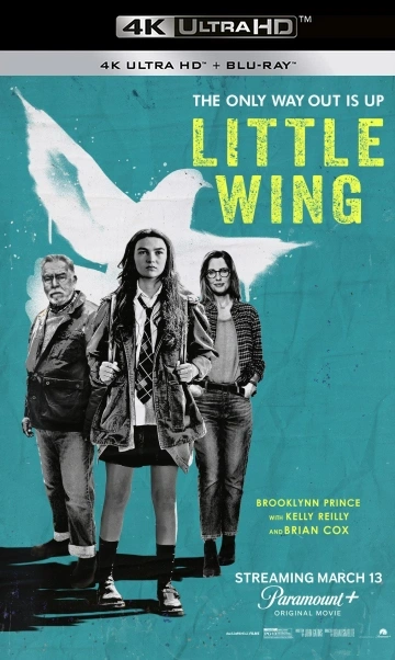 Jaquette de Little Wing