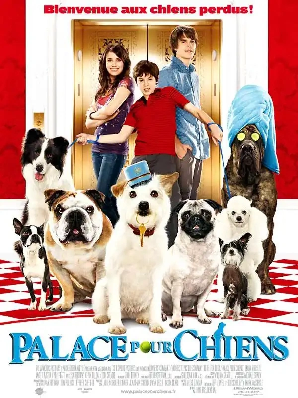Jaquette de Palace pour chiens