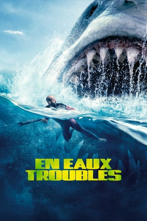 Jaquette de The Meg