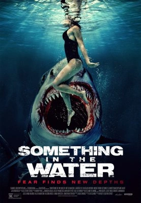 Jaquette de Something in the Water