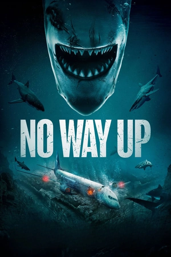 Jaquette de No Way Up