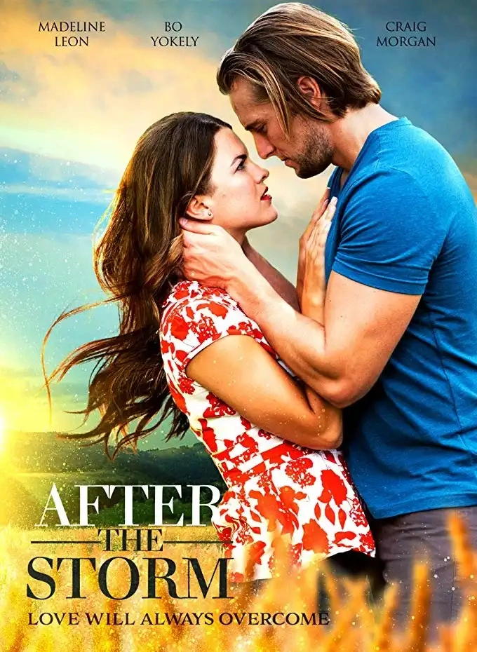Jaquette de After The Storm