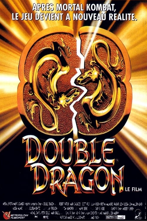Jaquette de Double Dragon