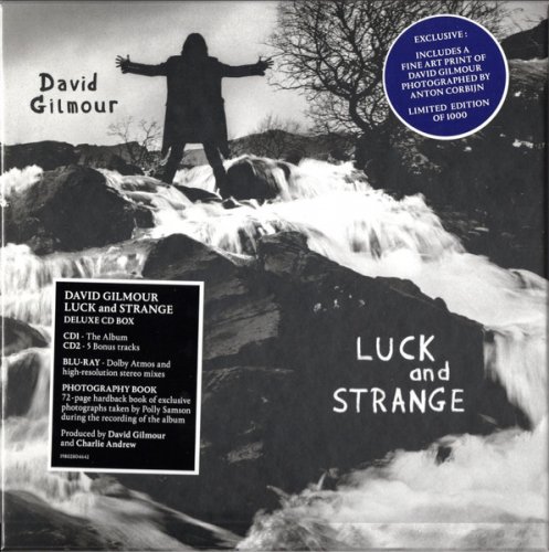 Jaquette de David Gilmour - Luck and Strange