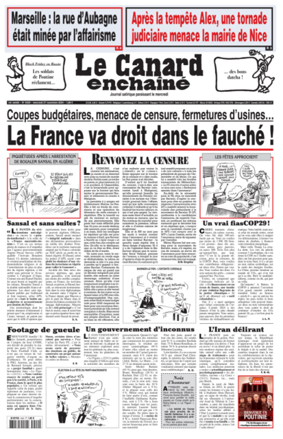 Jaquette de canard271124