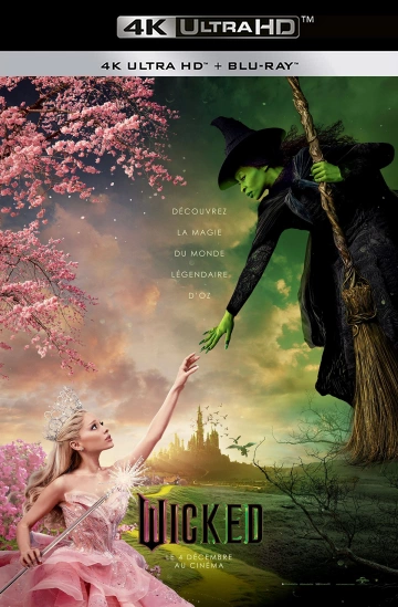 Jaquette de Wicked