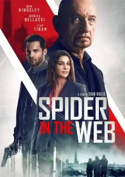 Jaquette de Spider in the