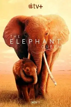 Jaquette de The Elephant Queen