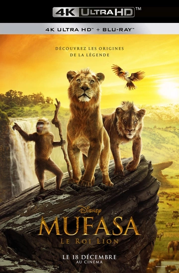 Jaquette de Mufasa The Lion King