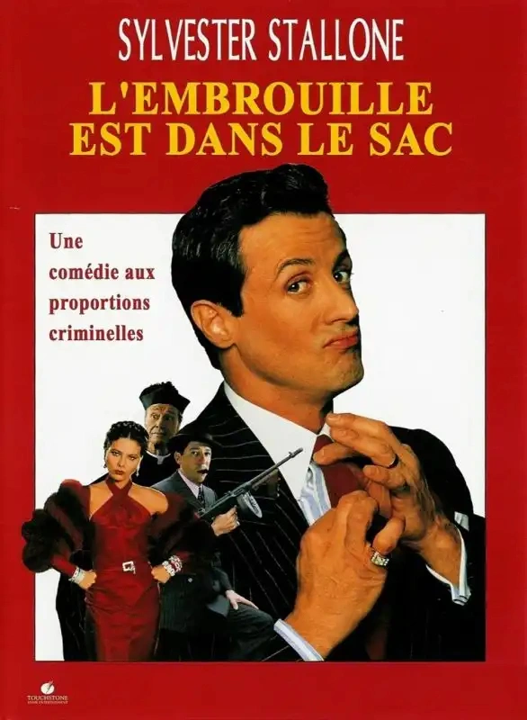 Jaquette de L'Embrouille est dans le sac