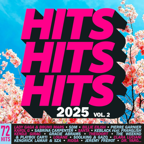 Jaquette de Hits Hits Hits 2025 Vol. 2