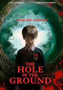 Jaquette de The Hole In The Ground