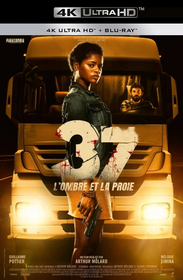 Jaquette de 37 Lombre et la proie