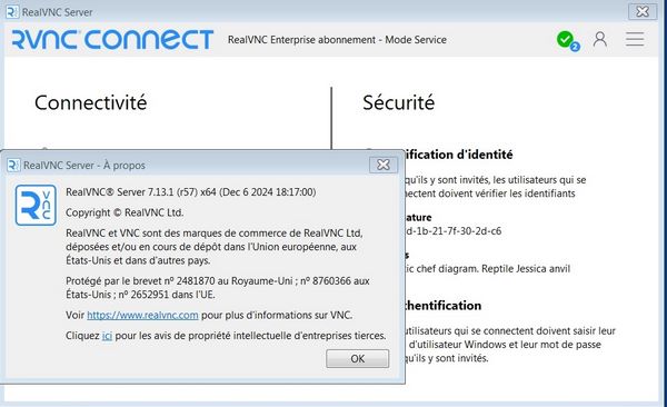Jaquette de RealVNC VNC Server Enterprise 7.13.1 Win x64 Multi + Crack