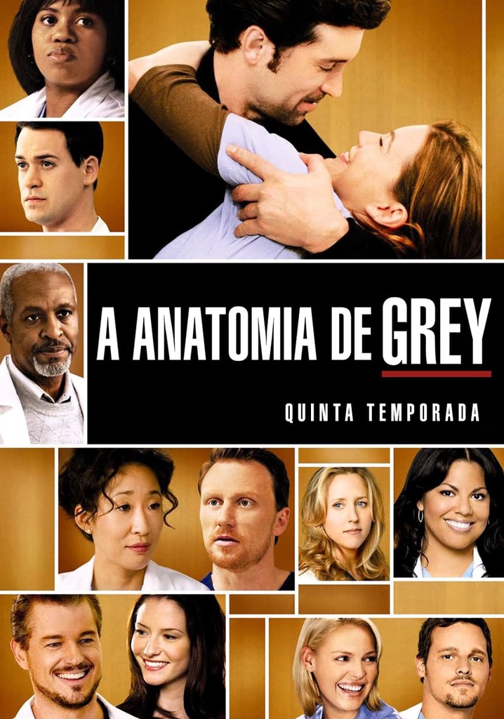 Jaquette de Grey's Anatomy