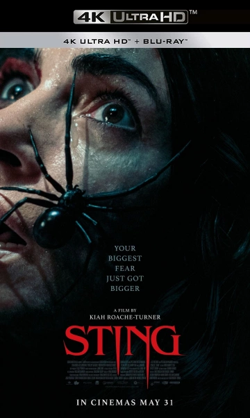 Jaquette de Sting