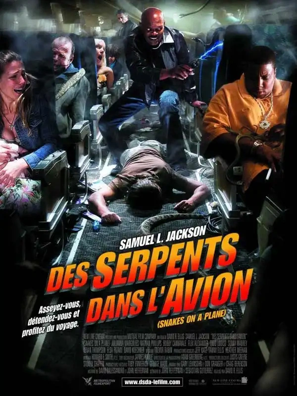 Jaquette de Des Serpents Dans L Avion