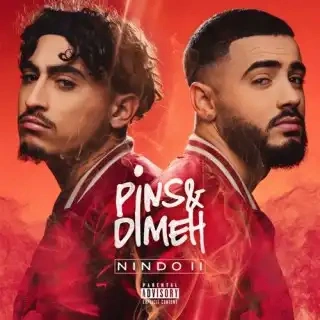 Jaquette de Pins & Dimeh - Nindo II 2019