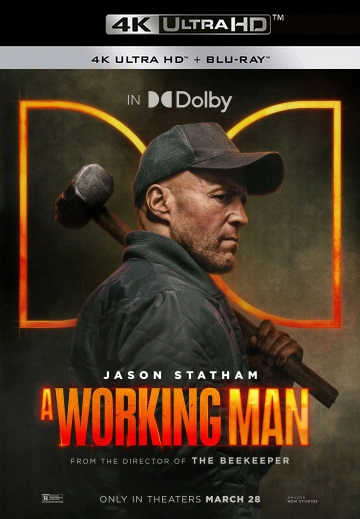 Jaquette de A Working Man