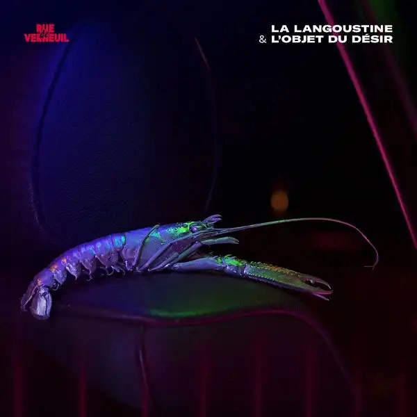 Jaquette de Rue de Verneuil - La langoustine et l'objet du désir 2020