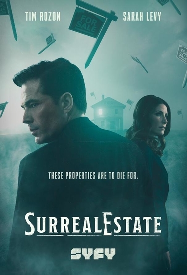 Jaquette de SurrealEstate