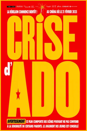 Jaquette de Crise D Ado