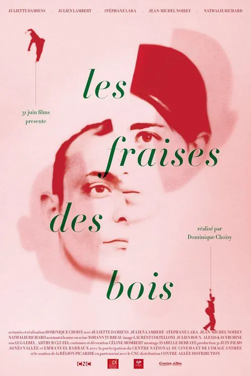 Jaquette de Les Fraises des Bois