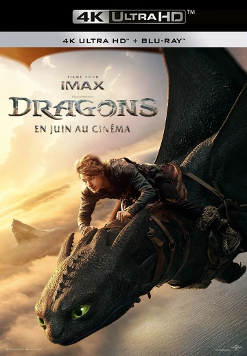 Jaquette de How to Train Your Dragon