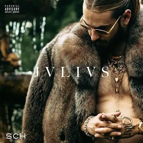 Jaquette de Sch - JVLIVS 2018