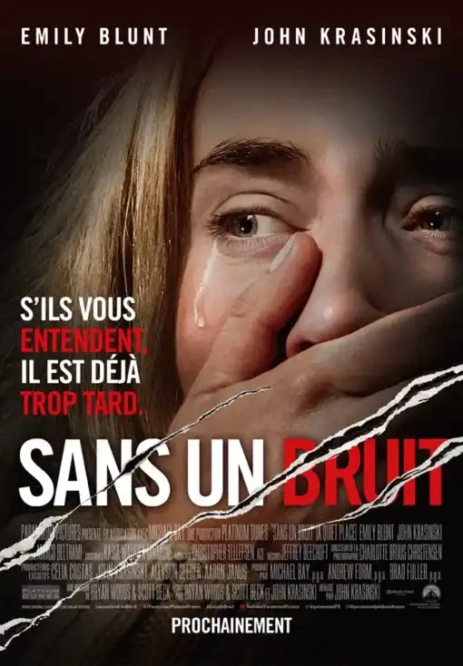 Jaquette de Sans un bruit