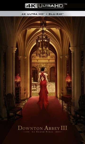 Jaquette de Downton Abbey III : Le Grand Final