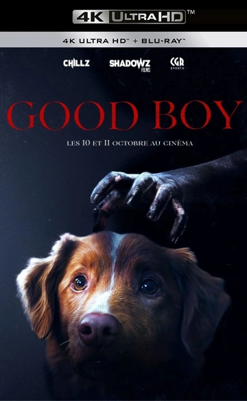 Jaquette de Good Boy
