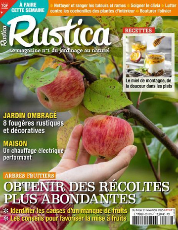 Jaquette de Rustica N.2916.14 Novembre 2025