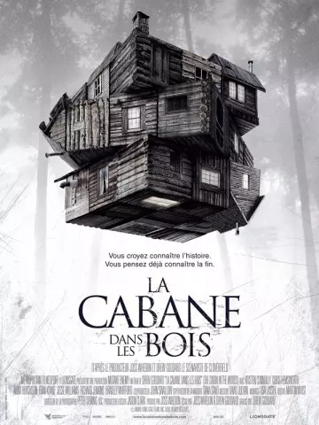 Jaquette de La Cabane dans les bois