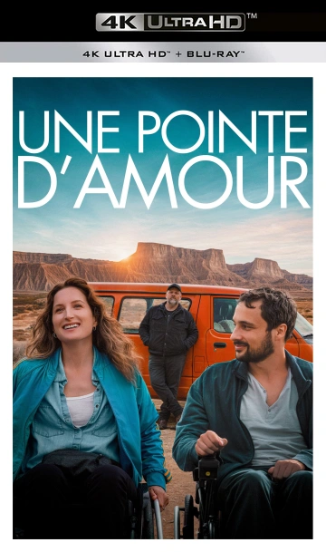 Jaquette de Une Pointe d Amour