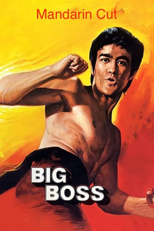 Jaquette de The Big Boss