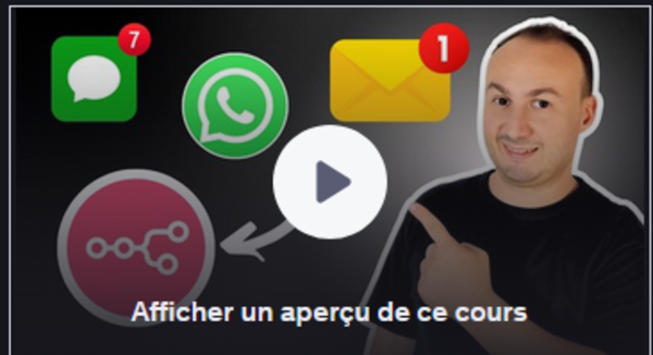 Jaquette de Digital Innovation - Cours n8n Automatisez WhatsApp et SMS avec une IA