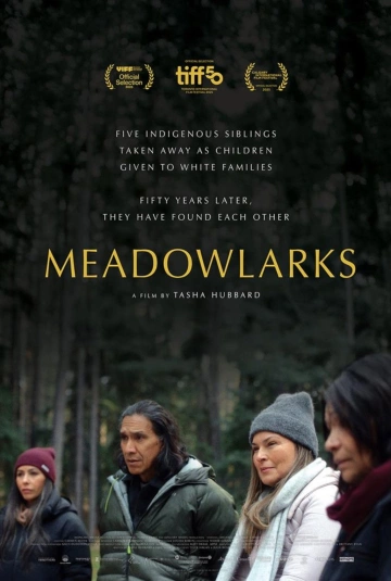 Jaquette de Meadowlarks