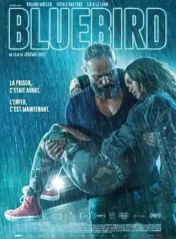 Jaquette de A Bluebird In My Heart