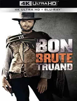 Jaquette de Le Bon, la Brute et le Truand