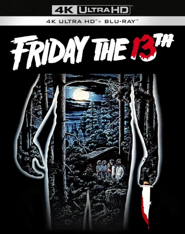 Jaquette de Friday the 13th