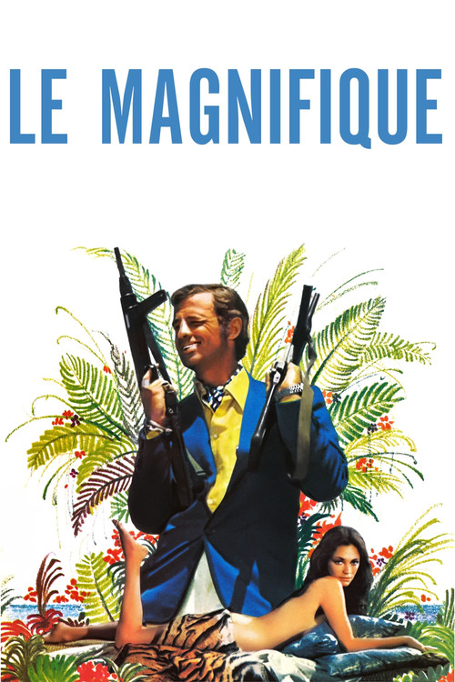 Jaquette de Le magnifique