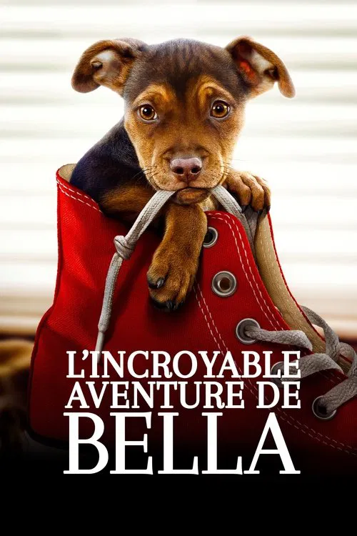 Jaquette de A Dog's Way Home